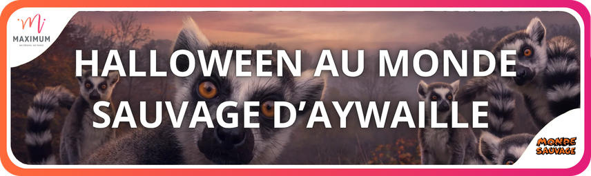 HALLOWEEN AU MONDE SAUVAGE D'AYWAILLE
