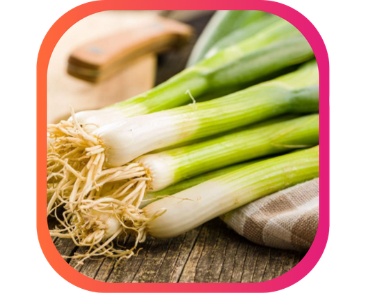 QUENELLE DE VOLAILLE AUX POIREAUX