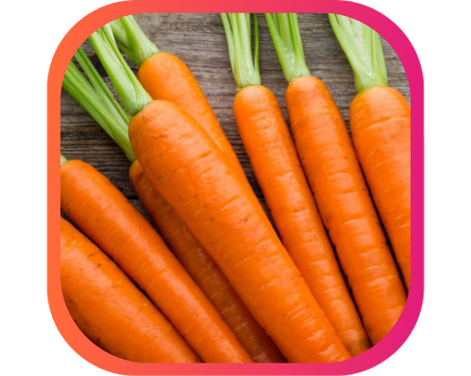 ROULÉS DE CAROTTES FARCIES AU RIZ ET BOEUF HACHÉ