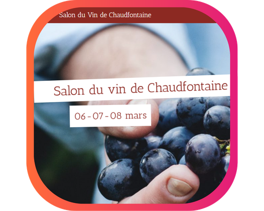 SALON DU VIN DE CHAUDFONTAINE