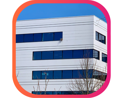 NID DE PIES BAVARDES AU CHC MONT LÉGIA