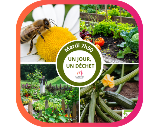LES ABEILLES