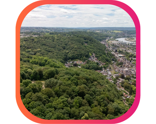 RECONNAISSANCE DU BOIS DE WANDRE COMME RÉSERVE NATURELLE