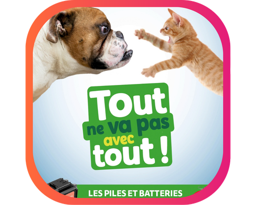 LES PILES ET BATTERIES