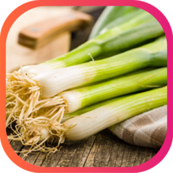 QUENELLE DE VOLAILLE AUX POIREAUX