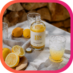 LE GOÛT DU SOLEIL EN HIVER