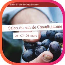 SALON DU VIN DE CHAUDFONTAINE