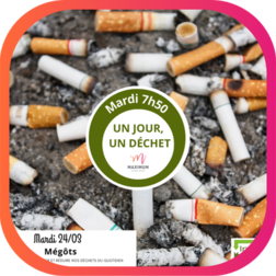 LES MÉGOTS DE CIGARETTE