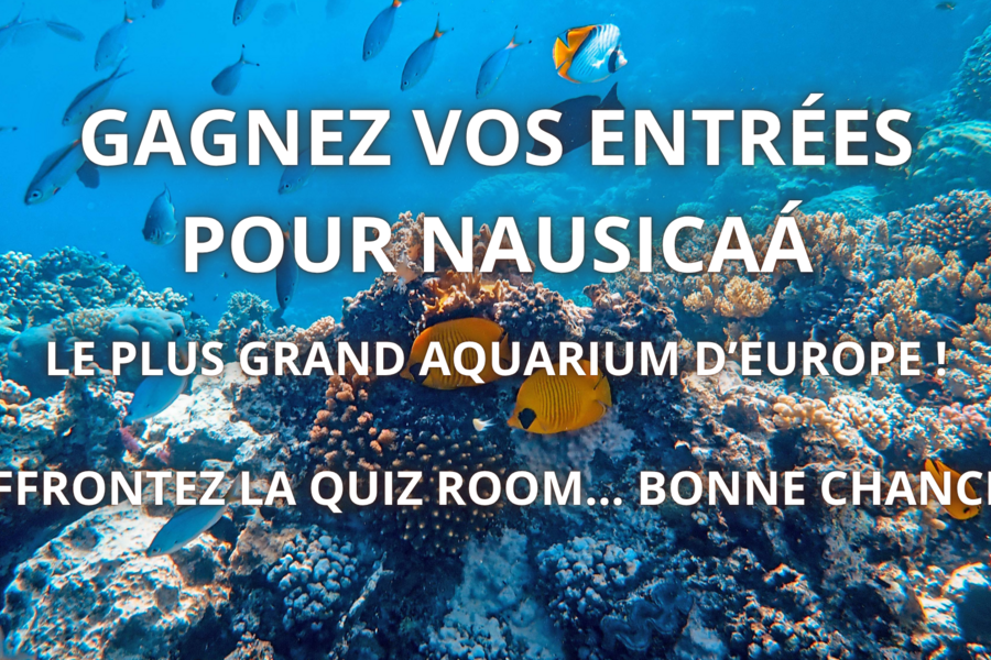 CONCOURS QUIZ ROOM NAUSICAÁ