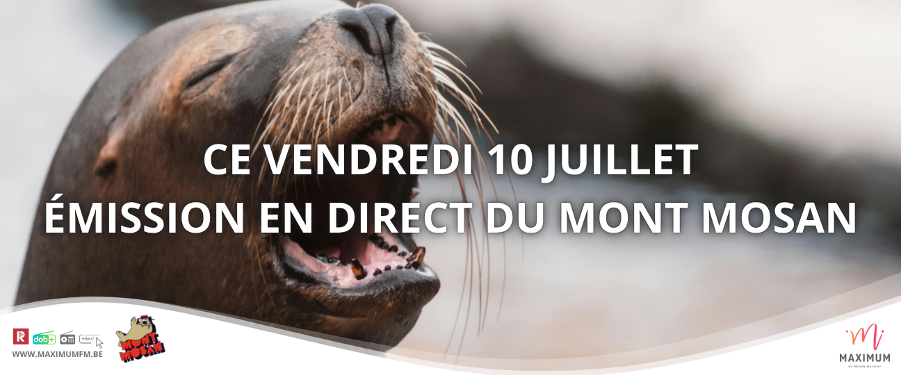 EMISSION DIRECT MONT MOSAN